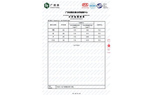 廣東省微生物分析檢測報告3